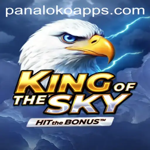 The Phenomenon of KingOfTheSky: A Journey into the Virtual Realm